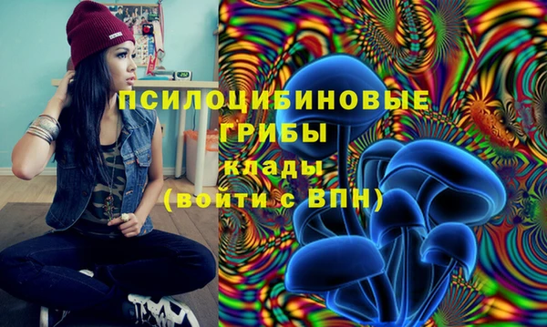экстази Алексин